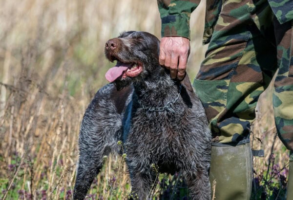 pexels denitsa kireva 2915302 16286817