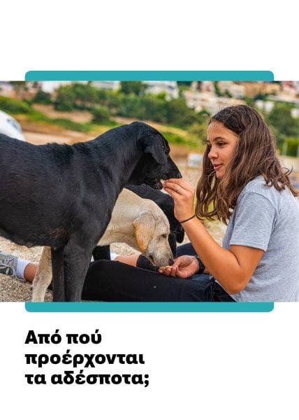 25 28301 Resource Document 1 GRE 1