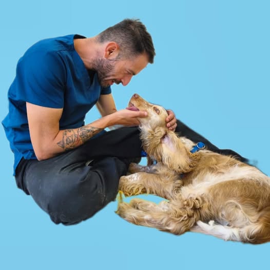 505727697 18380633173134935 5925433111062207570 n