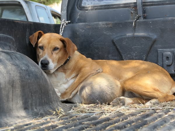 523247453 18380892460134935 4314442725309671295 n