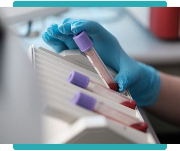 What is DNA sampling in companion animals and why is it important